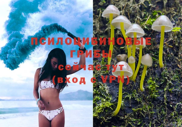 mix Абаза