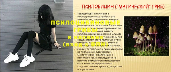 apvp Алексин