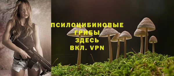 mix Абаза