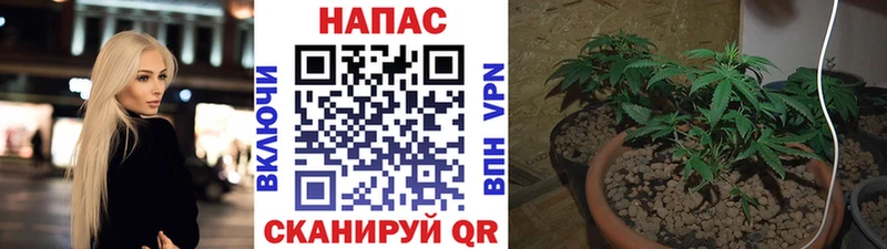 цена наркотик  Изобильный  Бошки Шишки марихуана 